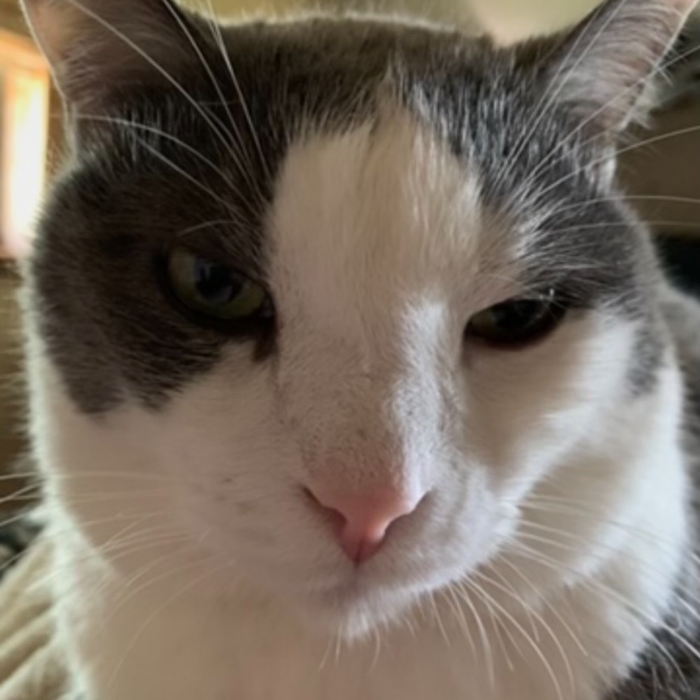 Meet your Posher, Teresa